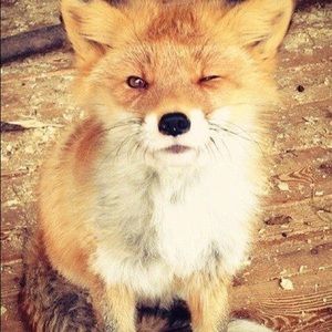 Meet your Posher, Gabrielle